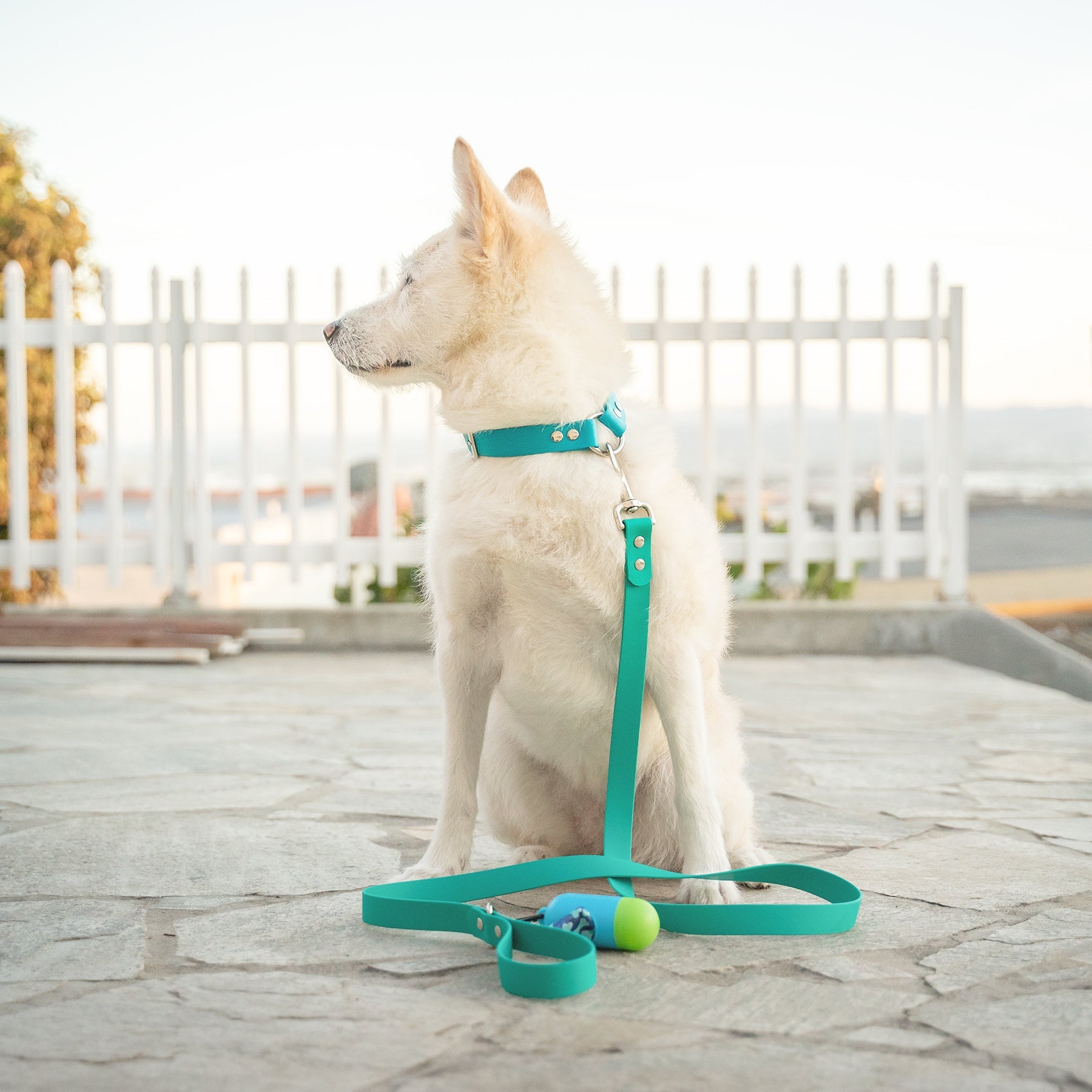 Biothane Classic Dog Leash