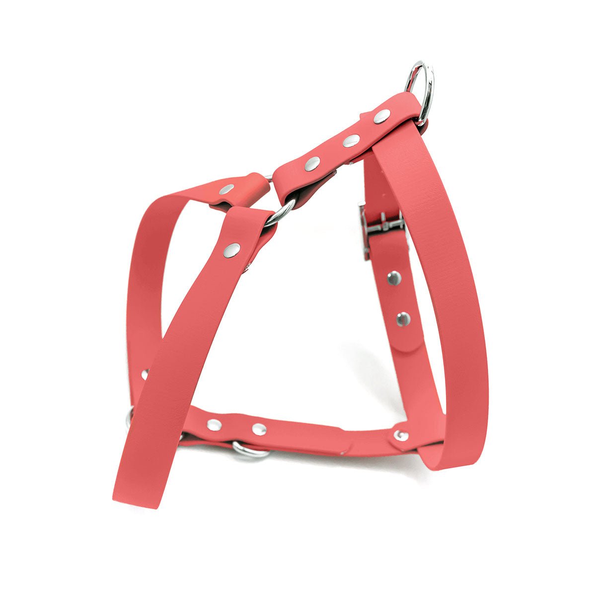 Custom Biothane No Pull Dog Harness