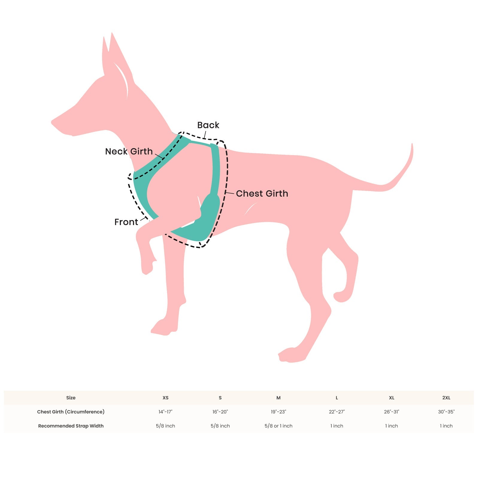 Custom Biothane No Pull Dog Harness