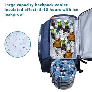 Large Insulated picnic cooler backpack