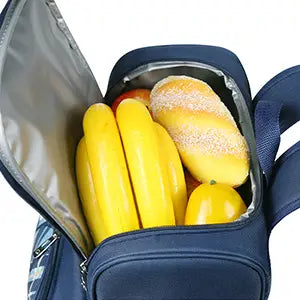 picnic bag with cooler