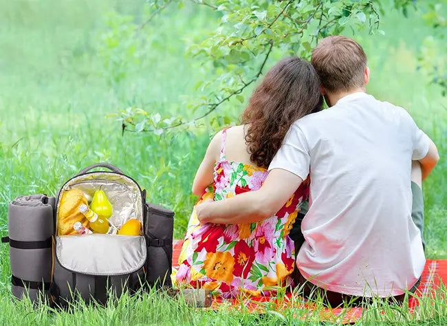 modern picnic lunch bag