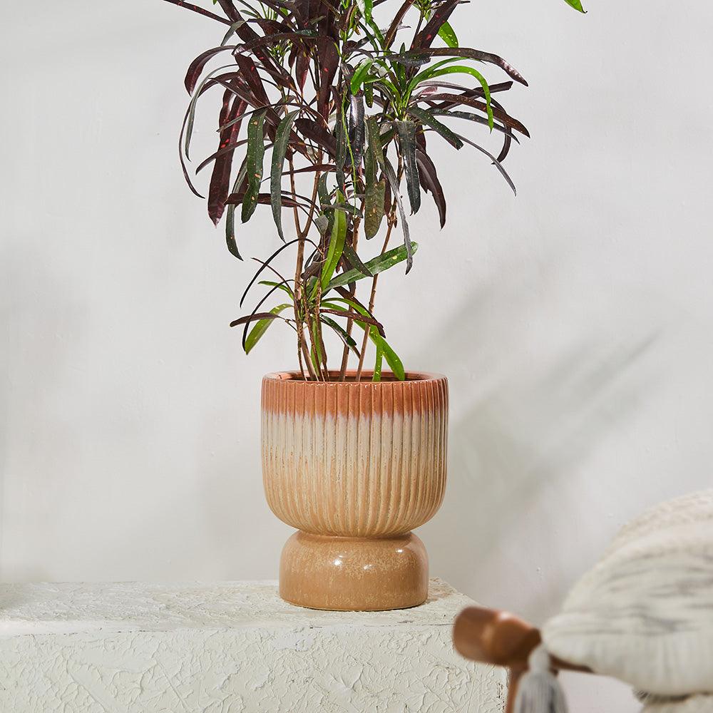 Birch Haven & Cedar Glen Ceramic Pot