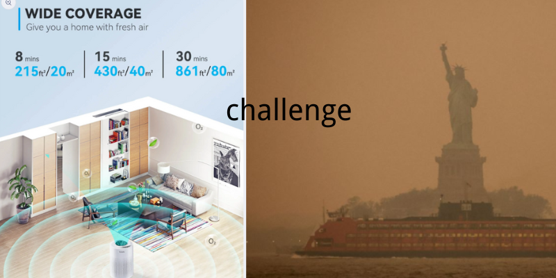 Breathing Clean in the Face of Wildfires: Harnessing the Power of Air Purification
