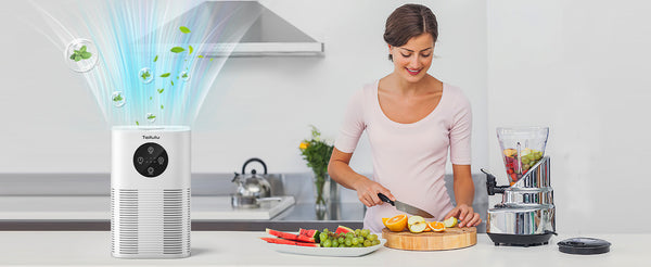 tailulu air Purifier