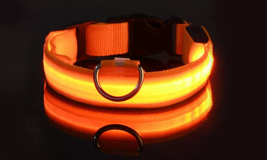 USB LED Dog Pet Light Up Safety Collar Night Glow Adjustable Bright Rechargeable