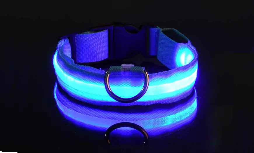 USB LED Dog Pet Light Up Safety Collar Night Glow Adjustable Bright Rechargeable
