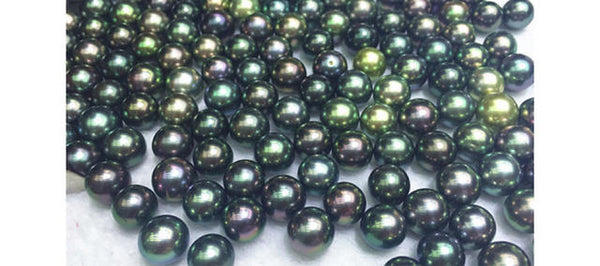 Round or nearly round Tahitian black pearls