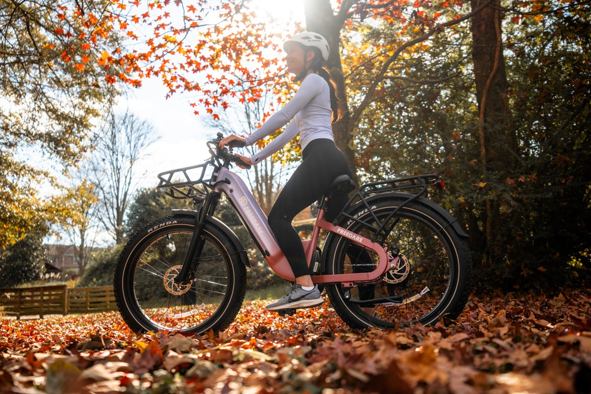 Freedare Eden fat tire electric bike step through electric bike for sale