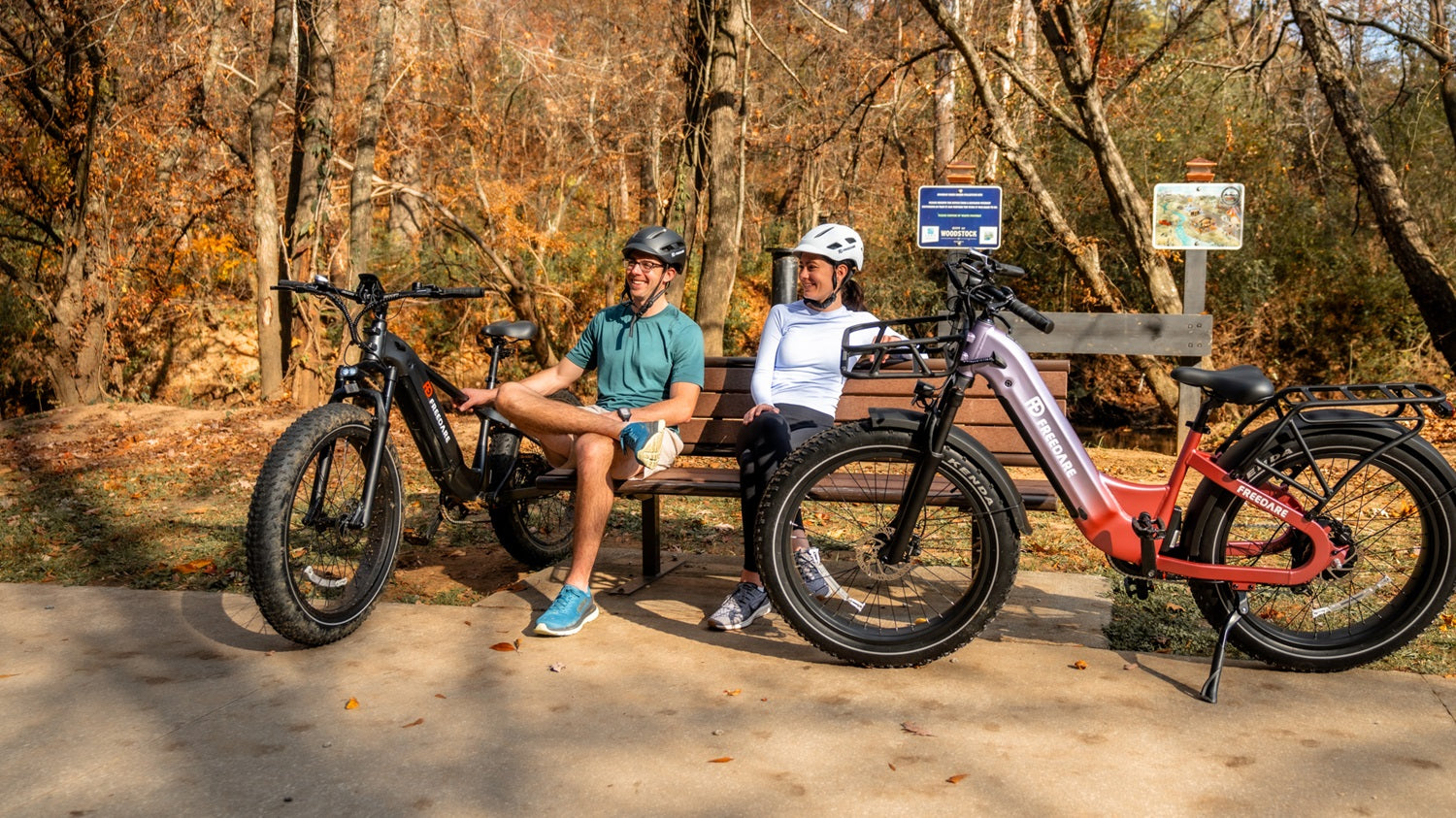 Freedare fat tire electric bike for adult in American