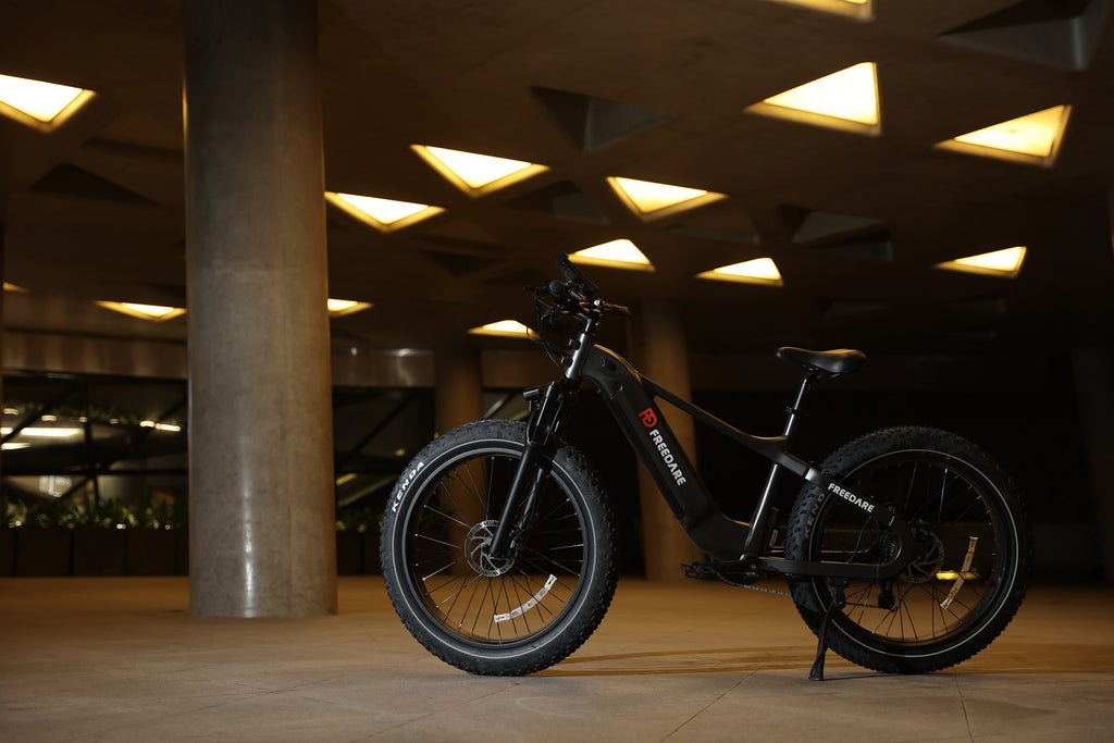 Your Smart travel partner-Freedare Saiga Fat Tire Electric Bike