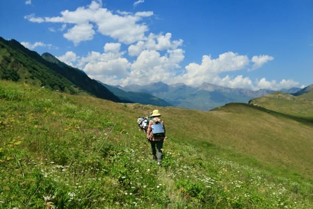 Moosehill Wanderberatung - Wesentliche Tipps zum Knieschutz beim Wandern
