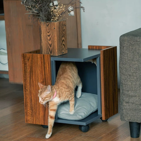 Cat Friendly Furniture
