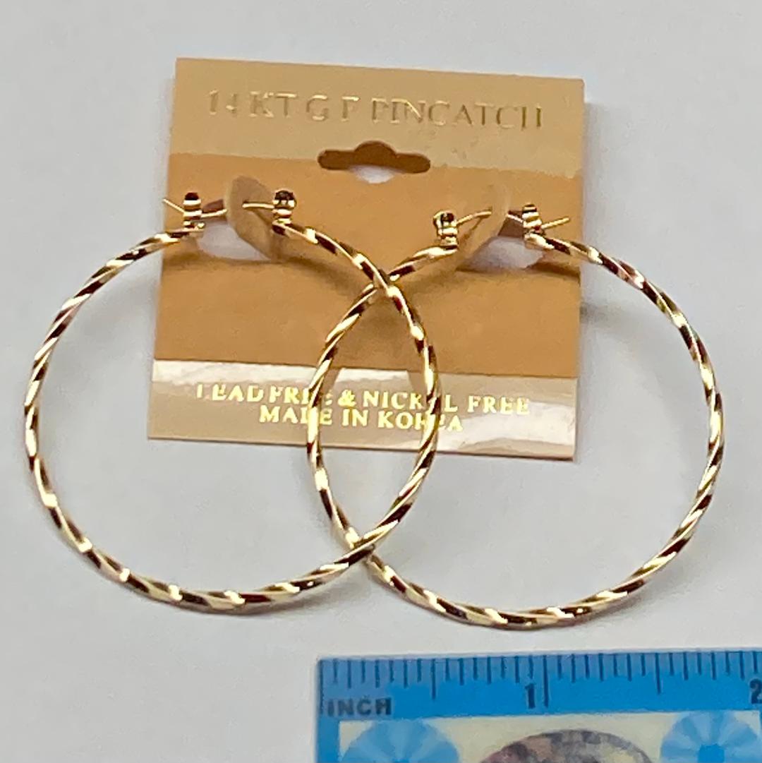 14 K Gold Filed Pincatch Earrings  2