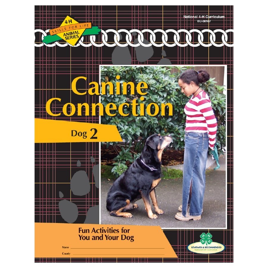 Dog Curriculum Level 2: Canine Connection