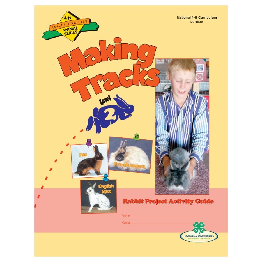 Rabbit Curriculum Level 2: Making Tracks