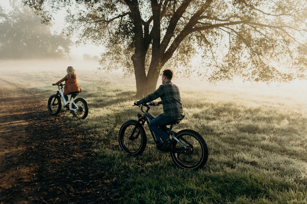 himiway electric bike
