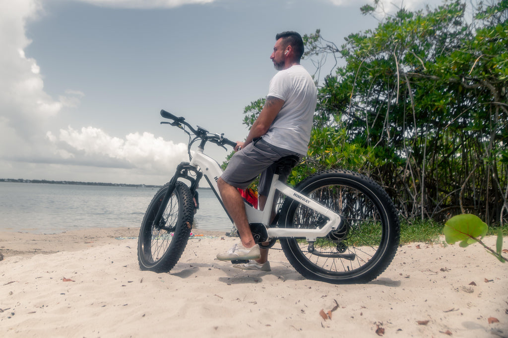electric bike himiway zebra