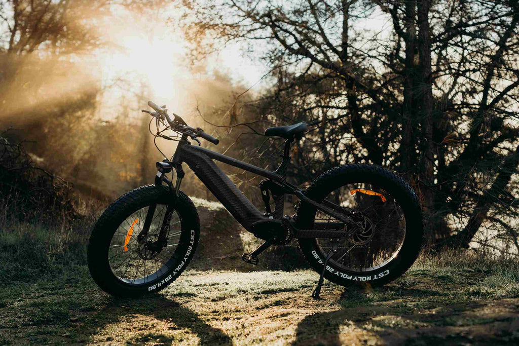 Himiway Cobra Ebike