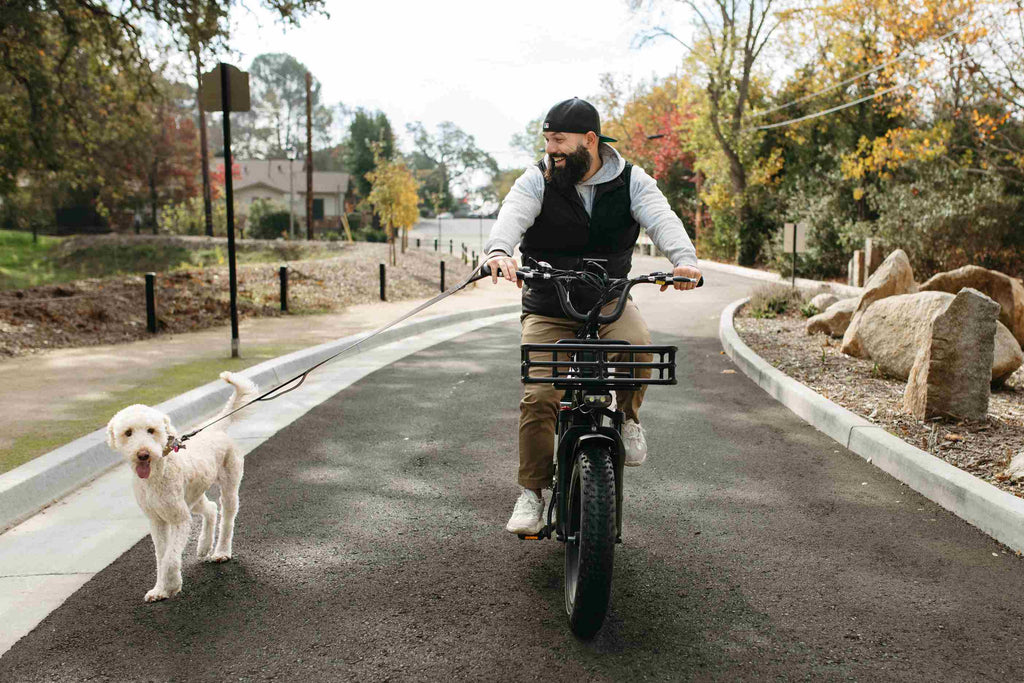 all terrain electric bike Himiway