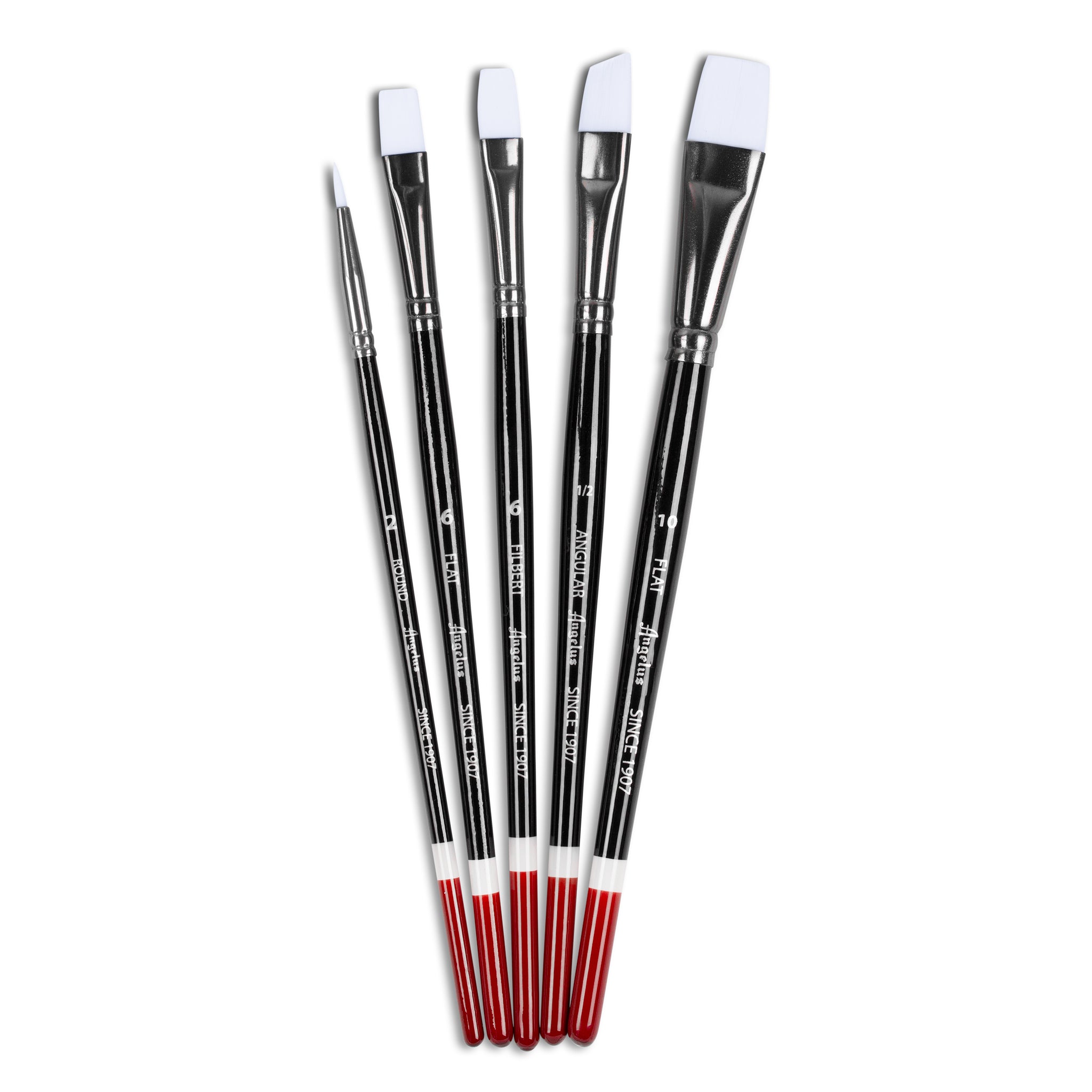 Angelus 5 Piece Brush Set