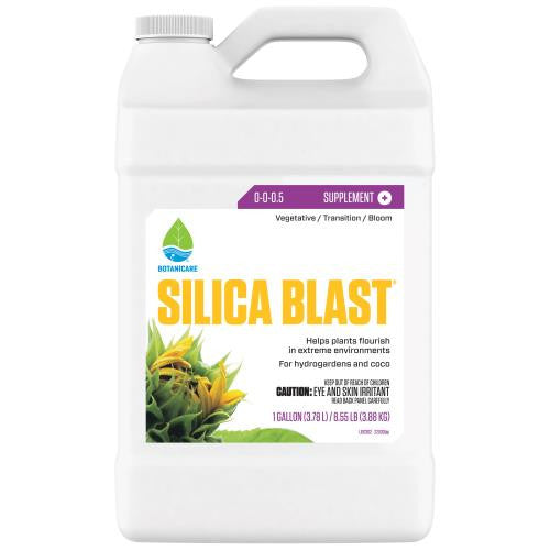 SILICA BLAST 1GAL