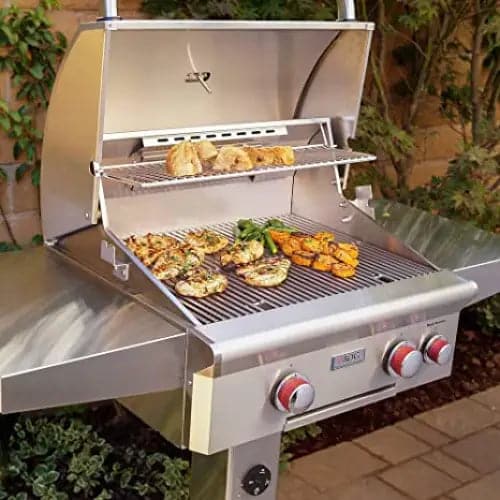 Broilmaster LP Gas Grill Head w/Left Blue Flame & Right Infrared Burner