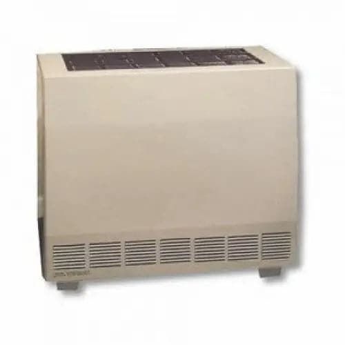 Empire 65K BTU NG Vented Closed Front Heater w/Tstat