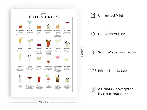 Cocktail Mixology Wall Art Print for Bar - by Haus and Hues | Alcohol Bar Themed Kitchen Home, Office Apartment Wall Decor Home Bar Accessories, Bar Cart Decor Cocktail Poster, UNFRAMED 12