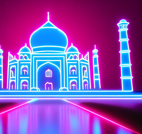Taj Mahal Neon