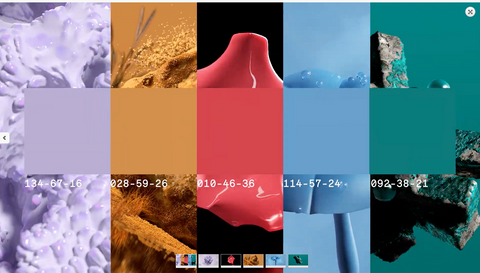 WGSN color