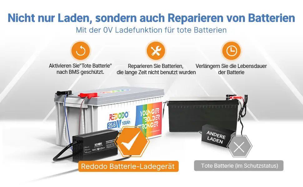 Redodo LiFePO4 Ladegerät 29,2V 20A, Schnelles AC-DC Ladegerät für Batterien, Geeignet für LiFePO4 Batterie 24V, 20A Ausgangsstrom mit LED-Anzeigen und 4 Schutzfunktionen