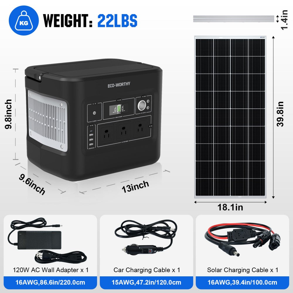 Eco-Worthy 200W (2x Bifacial 100W) Solar Panel & 1024Wh Portable Power Station