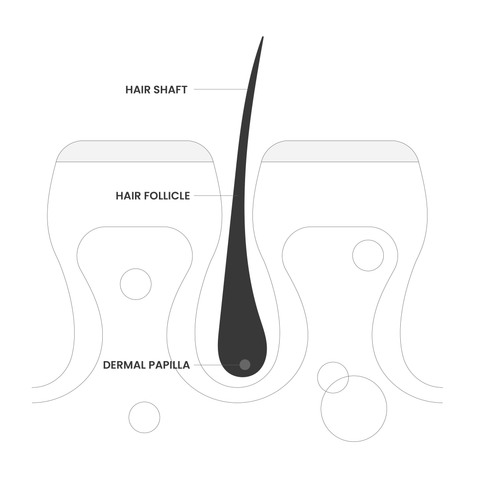 ¿Qué tan diferente funciona?