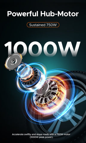 ENGWE M20 48V 1000W