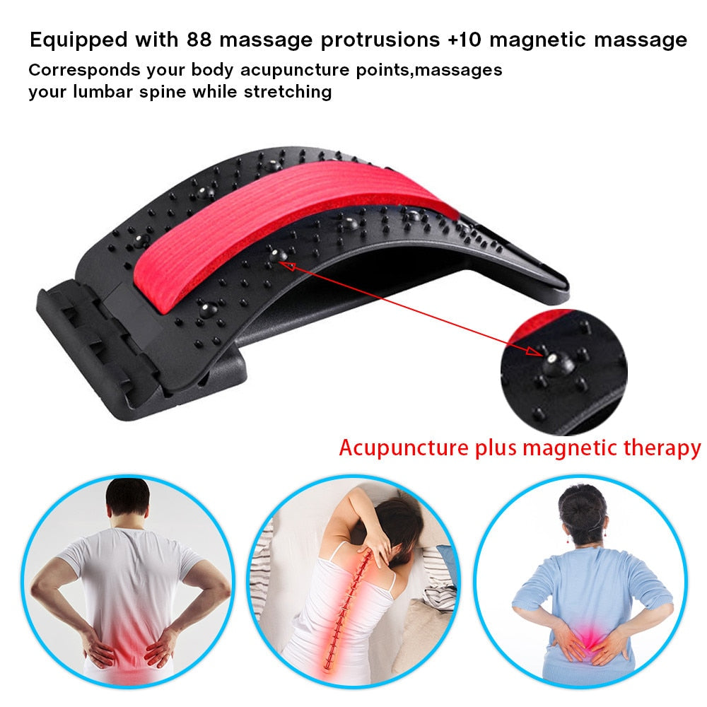 Back Massage Chiropractic Board