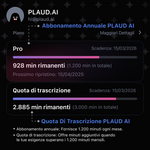 Quota di Trascrizione PLAUD AI
