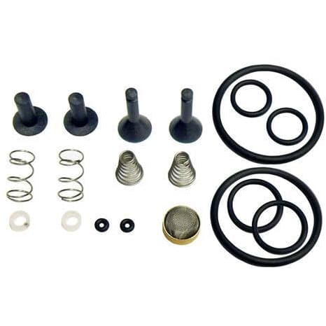 CPS Products TRS21 Valve Rebuild Kit TR21X1