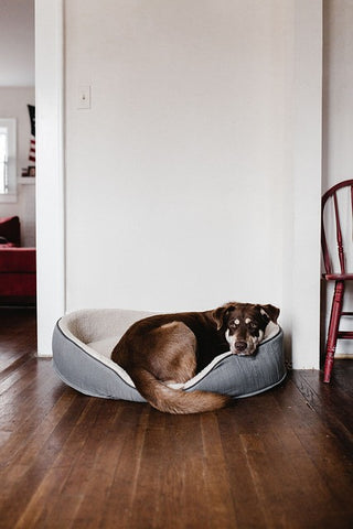 Washing inside of deals dog bed