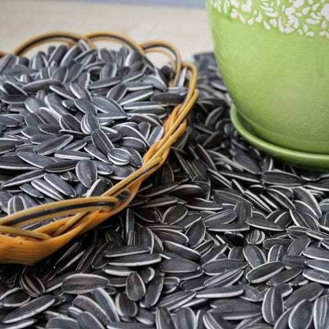 New Crops Hot Selling Chinese Import Large Sunflower Seeds