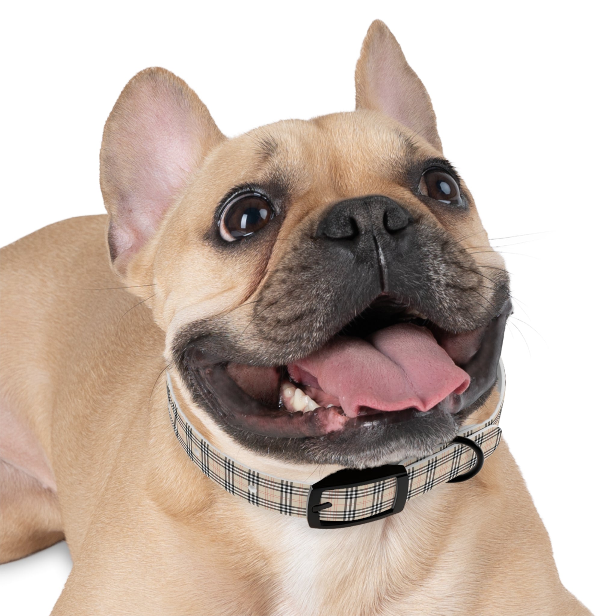 Tan Plaid Dog Collar Design 1