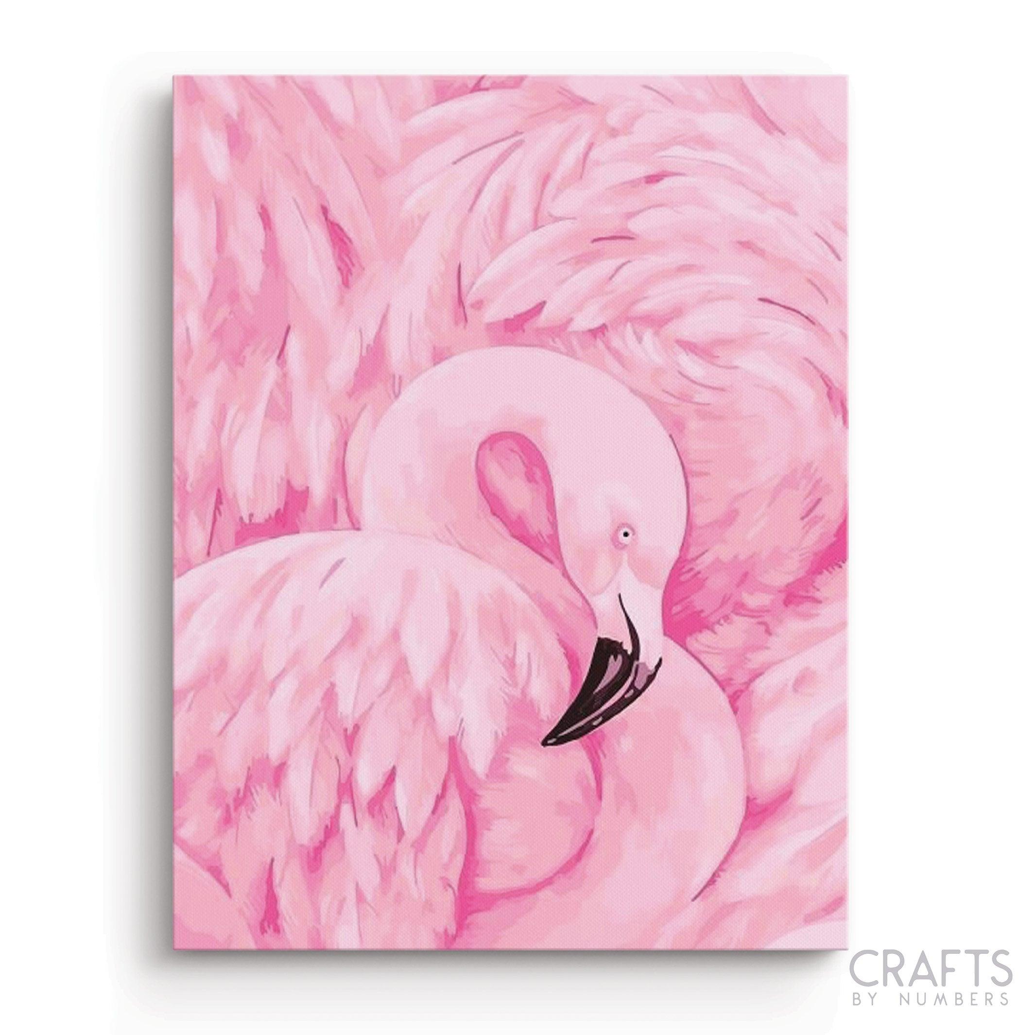 Pink Crane Bird