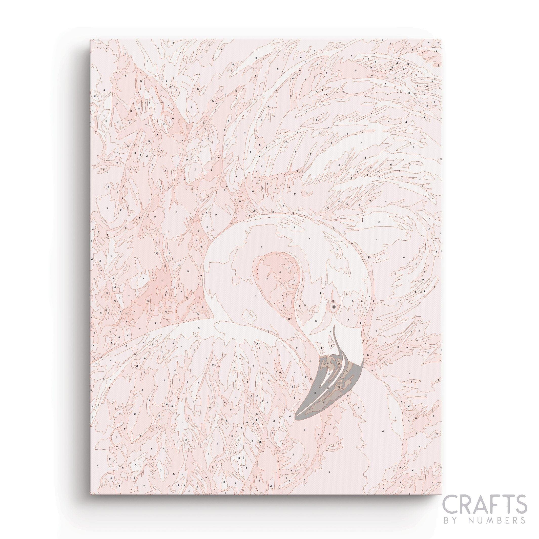 Pink Crane Bird