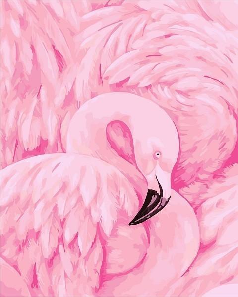 Pink Crane Bird