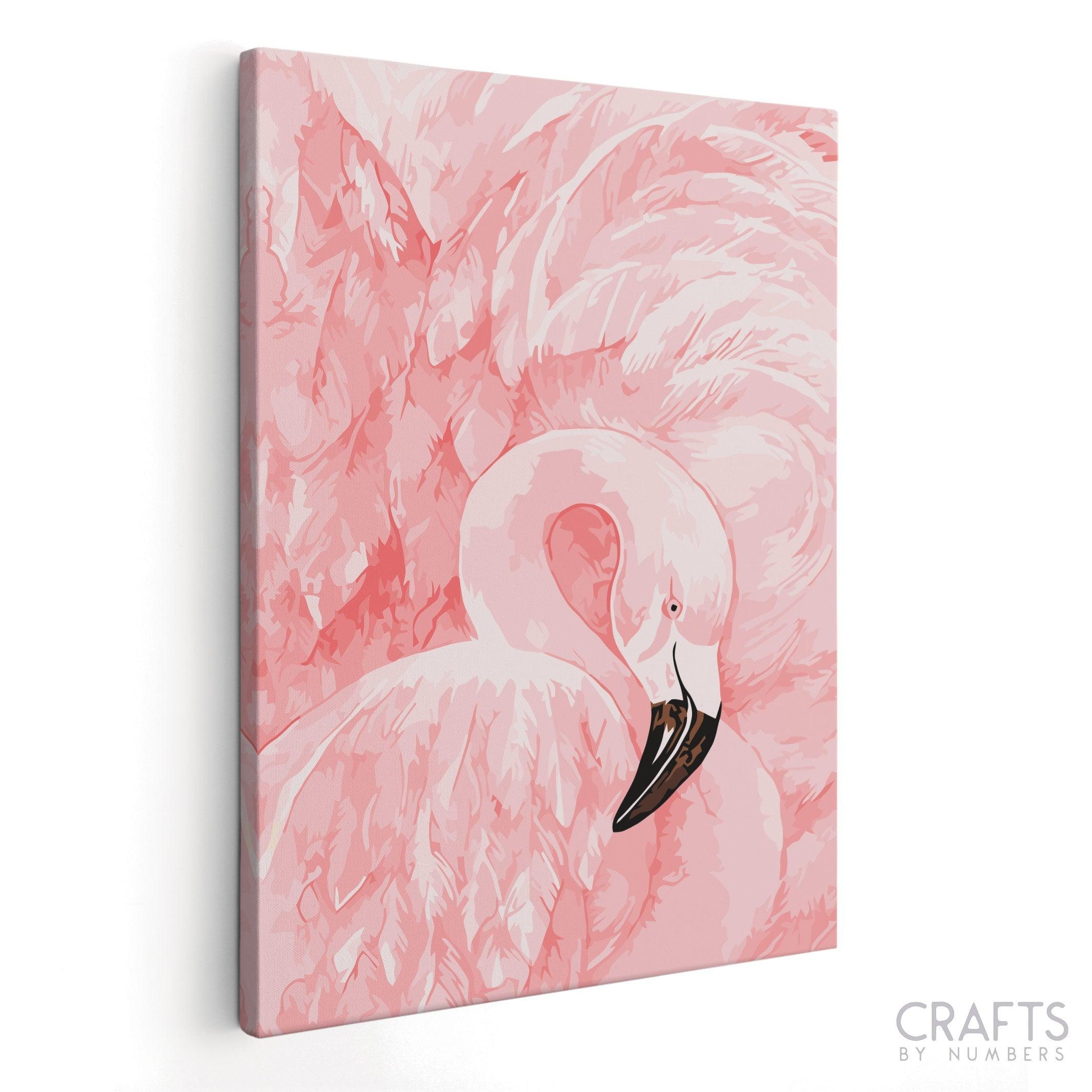 Pink Crane Bird