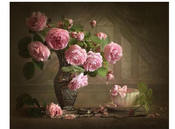 Pink Roses Still Life