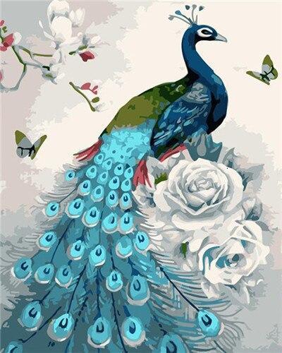 White Rose Blue Peacock