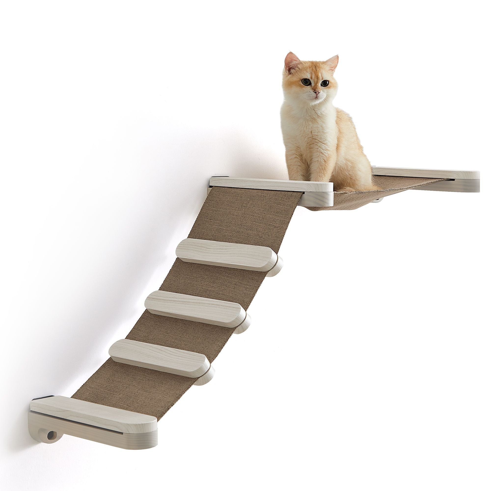 Clickat Wall-Mounted Cat Climbing Hammock