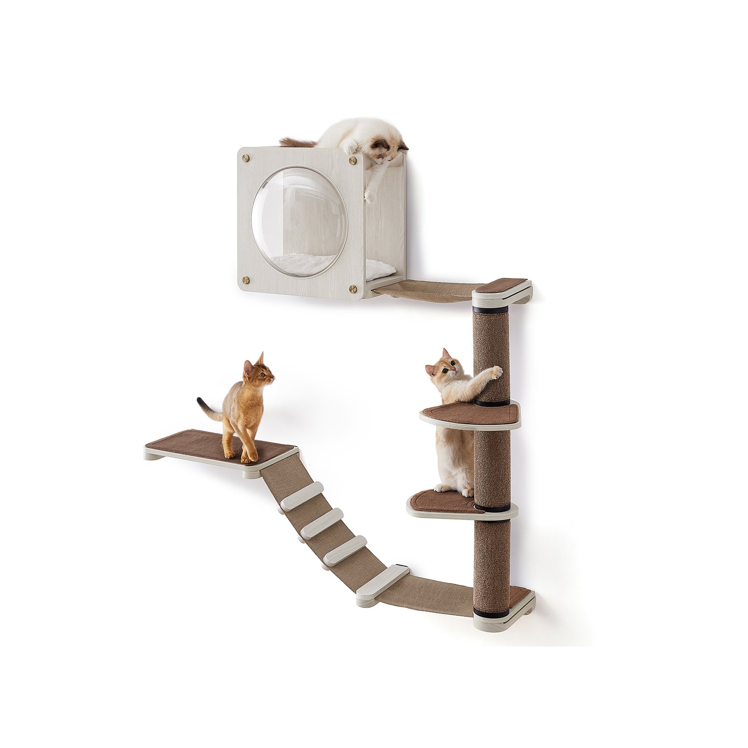Clickat Oasis Set of 5 Cat Wall Furniture