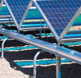 solar panels